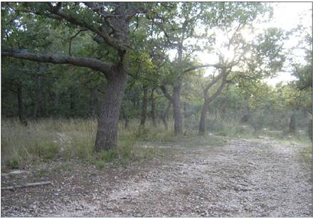 In silenzio